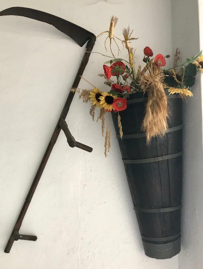 Maison Dietenbeck Wissembourg Εξωτερικό φωτογραφία