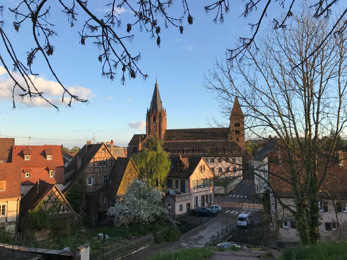 Maison Dietenbeck Wissembourg Εξωτερικό φωτογραφία